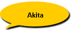 Akita